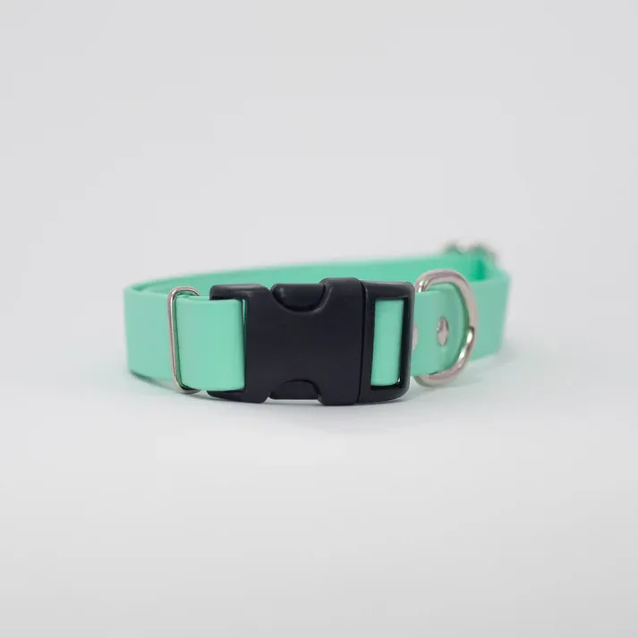 Biothane 1" Adjustable Collar