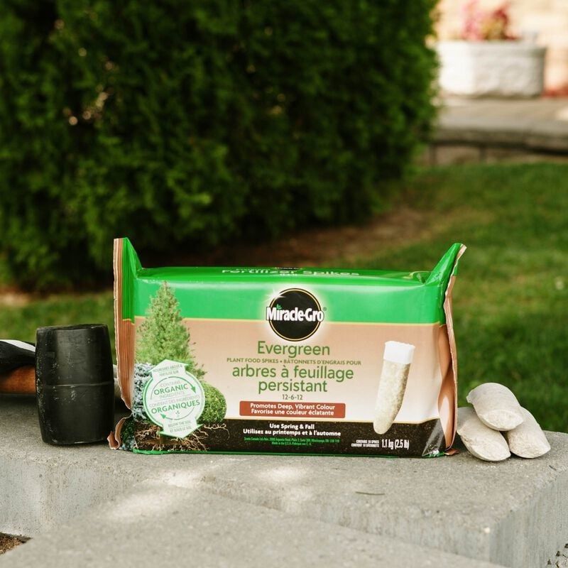 Miracle-Gro - Evergreen Fertilizer Spikes - 10 Pack