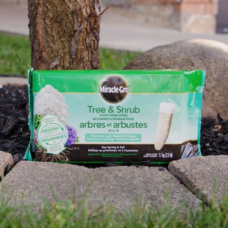 Miracle-Gro - Tree &amp; Shrub Fertilizer Spikes - 10 Pack