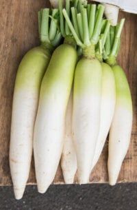 Daikon Organic Radish Seeds