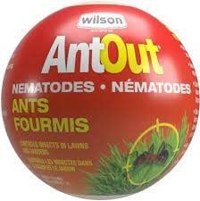 Wilson - AntOut Nematodes for 275 m2 - 1000sq ft - single