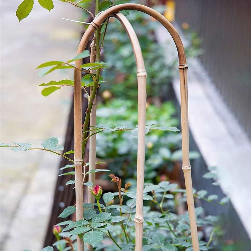 Holland Greenhouse - Bamboo U-Hoops 3' - 3/pk