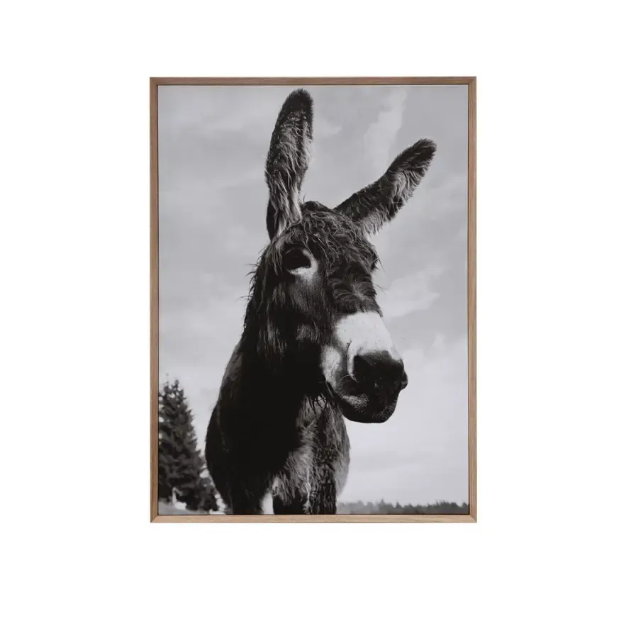 Framed Canvas Donkey - 37-1/4&quot;x27-1/4&quot;