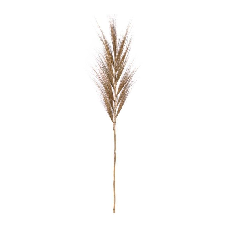 Plume Grass 118cm, Color: Natural