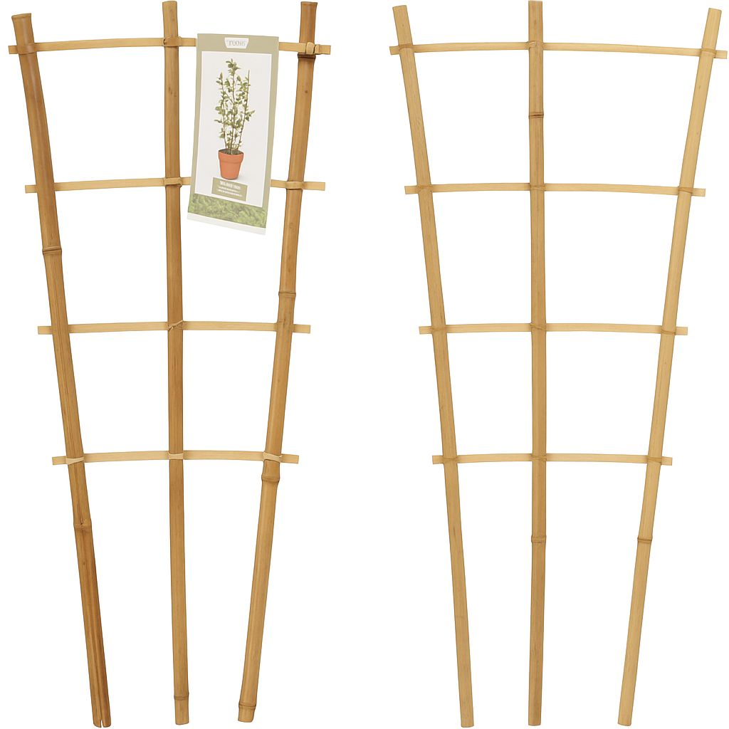 Trellis Ladder Bamboo Set of 3
