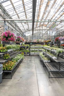 Garden Centre