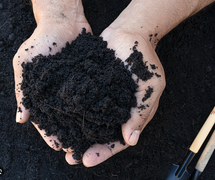 Green Harvest  - Topsoil Plus