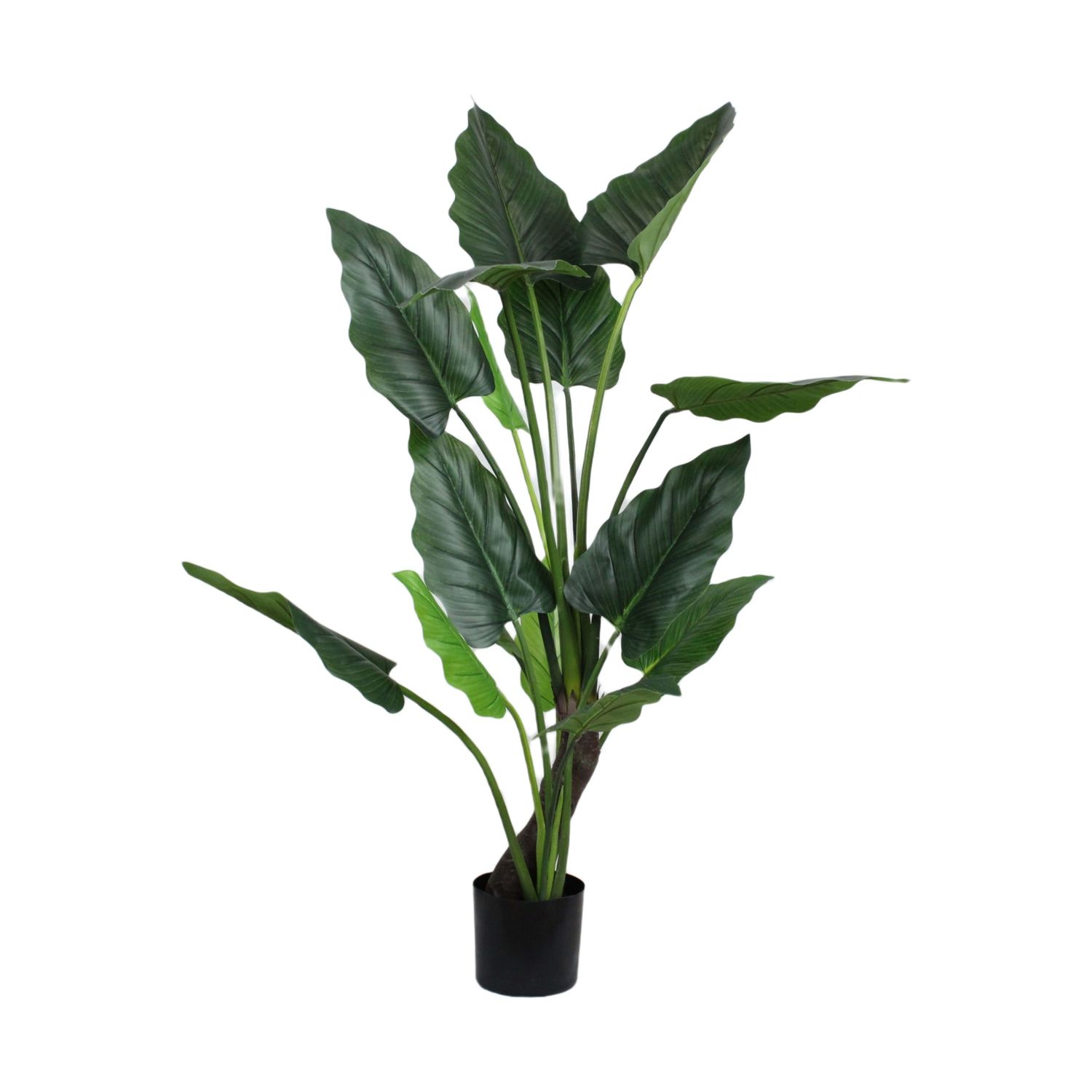 Plant Artificial Taro 170cm