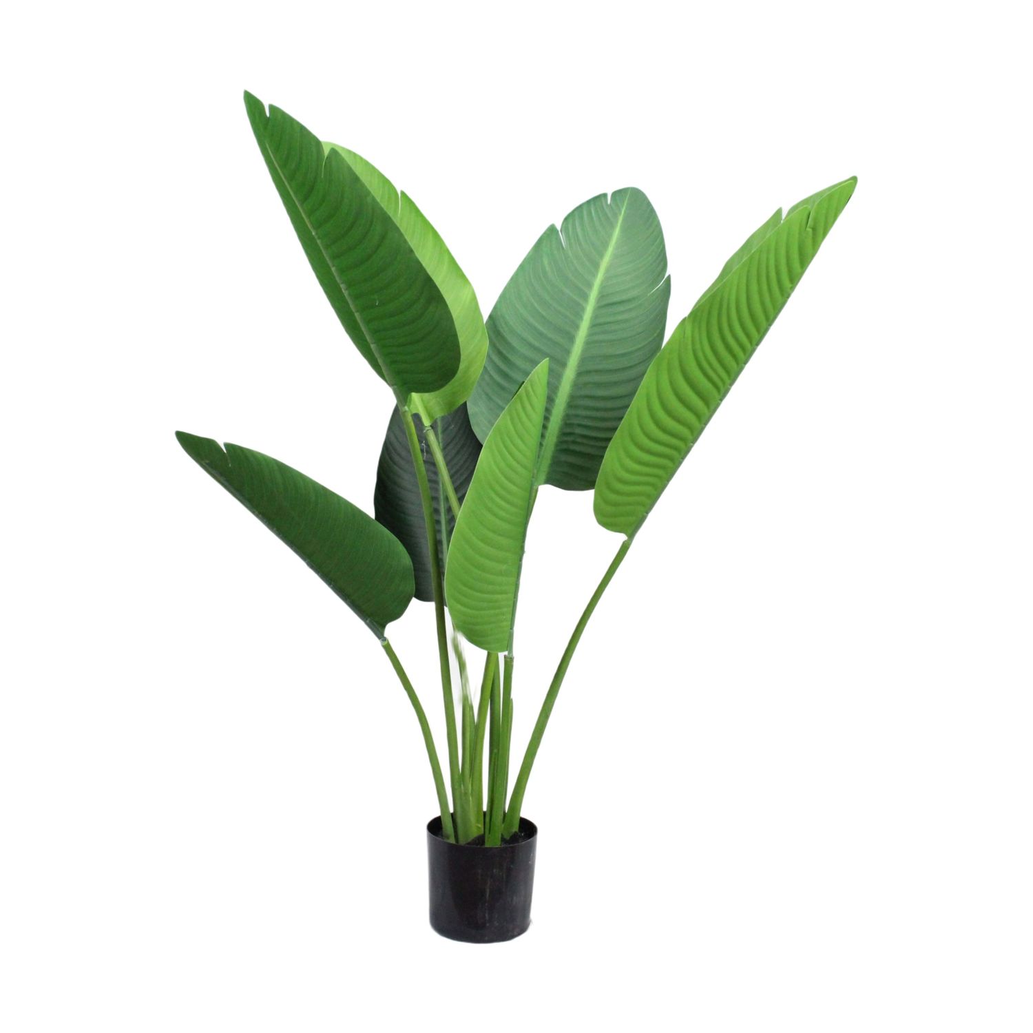 Plant Artificial Strelitzia 90cm