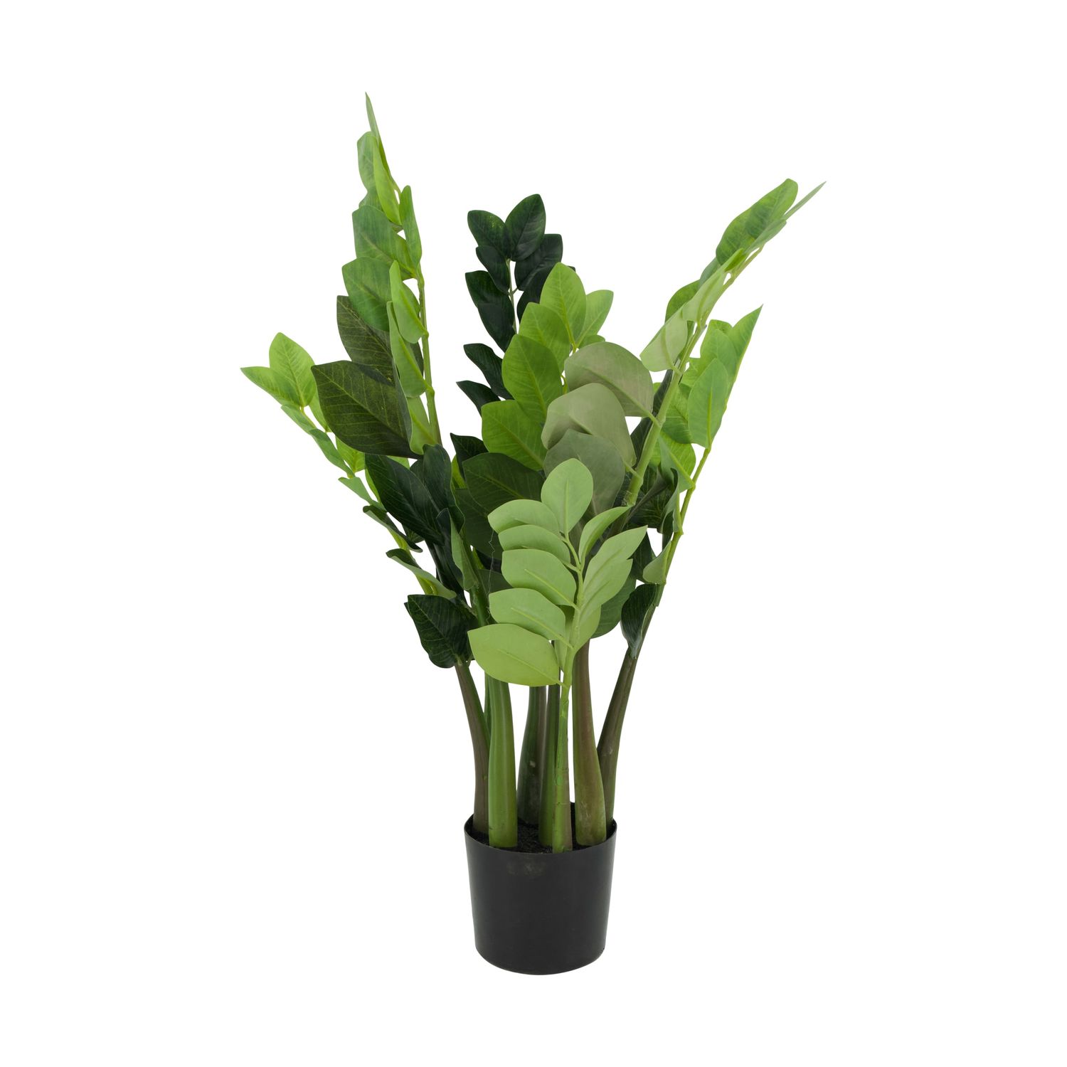 Artificial Plant ZZ Zamioculcas 60cm
