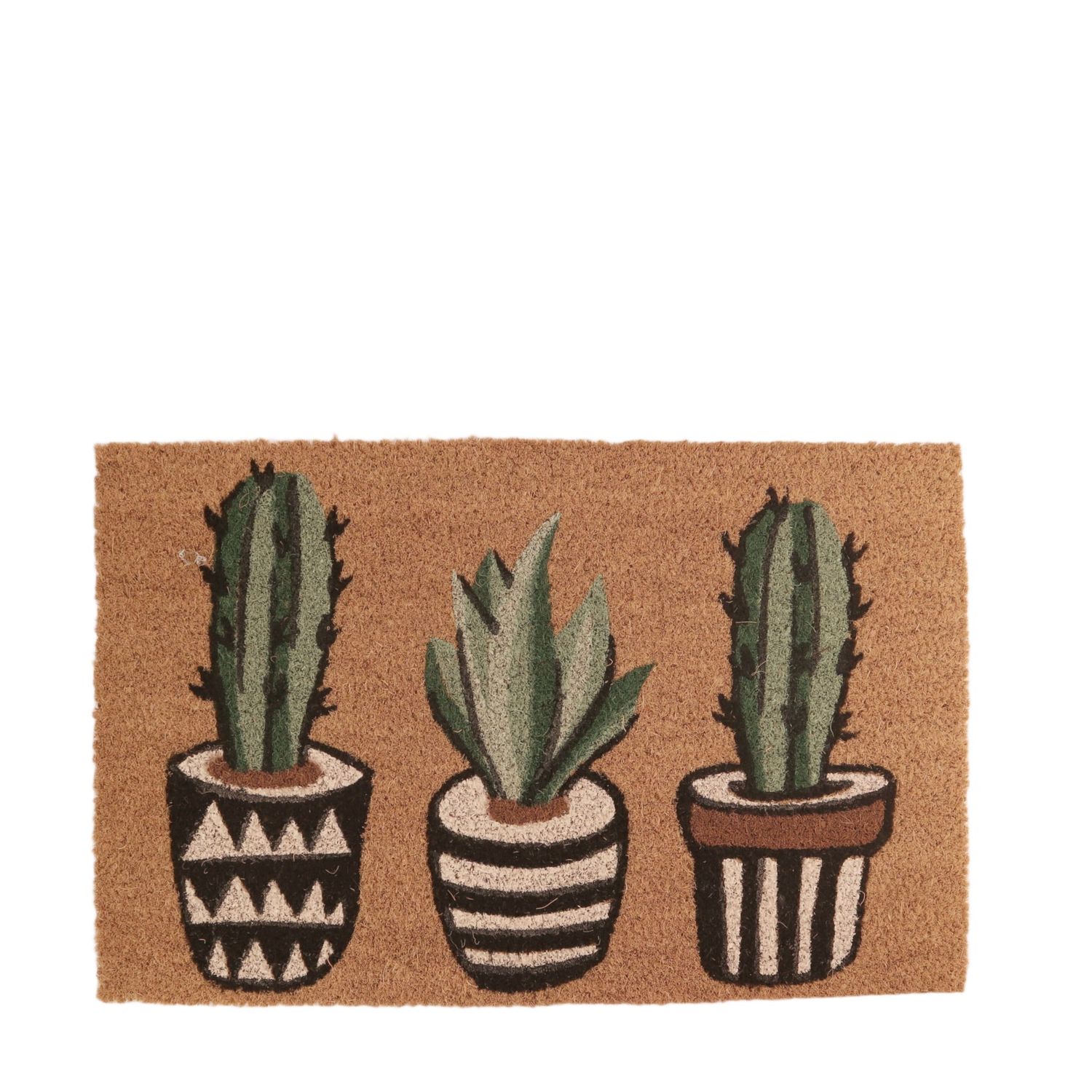 Doormat Coco 58x38cm Cactus