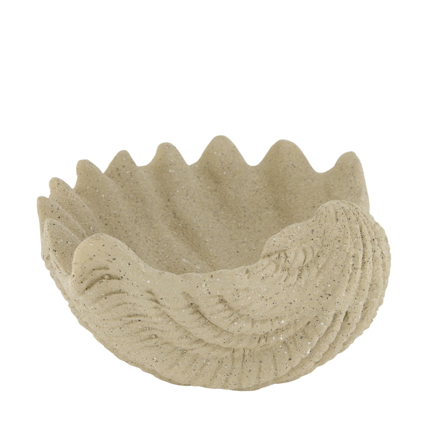 Planter Seashell 34cm