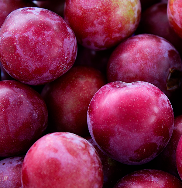 Plum - Bounty - #5