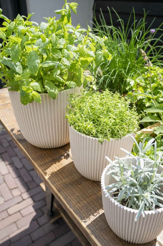 Capi - Planter Ball Groove Sawdust White