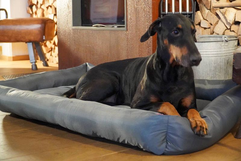Corfu Reversable Pet Bed