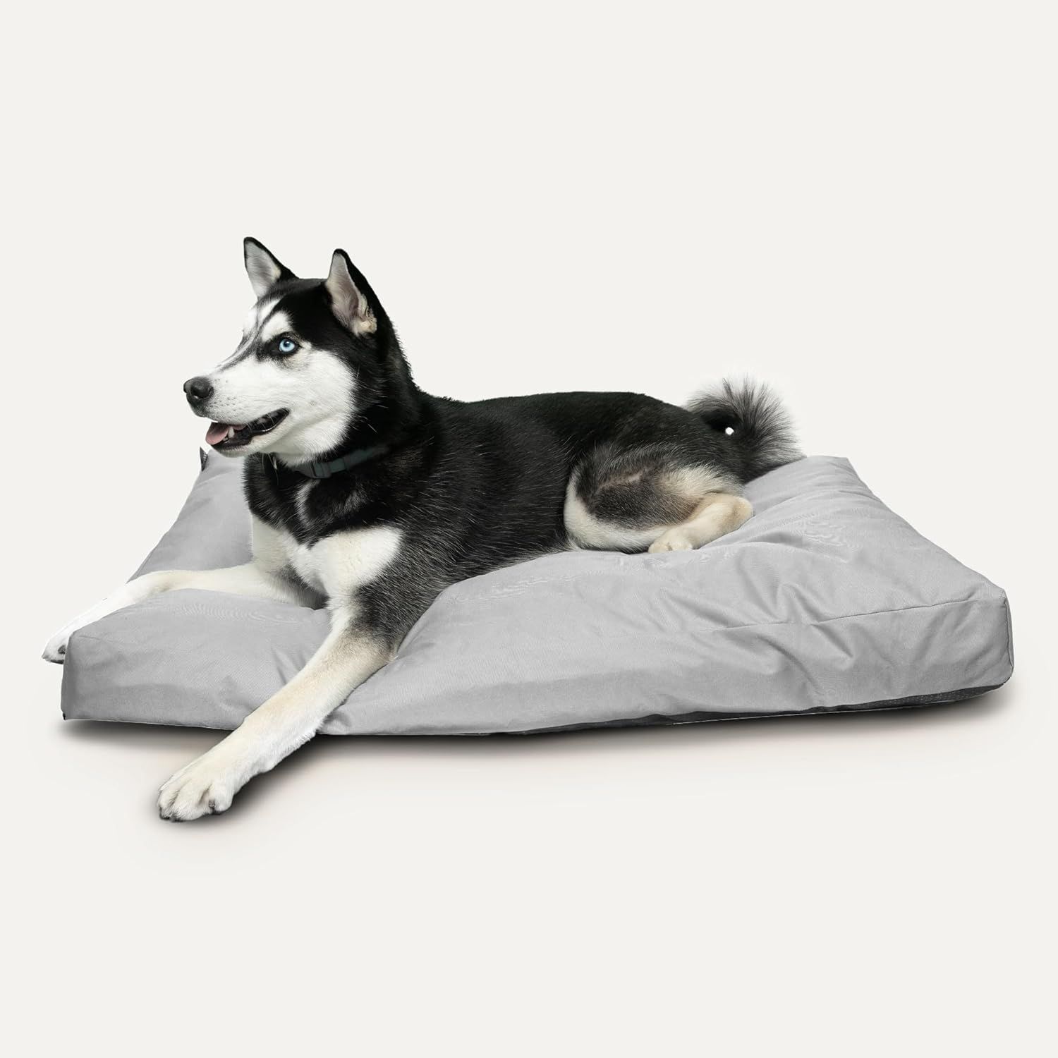 Rectangular Dog Bed
