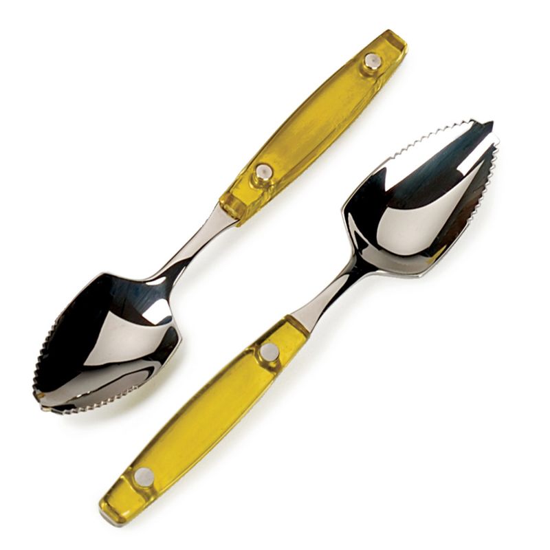 Grapefruit Spoons Set of 2