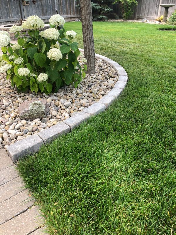 Quarry Stone Standard Edger - Special Order Only