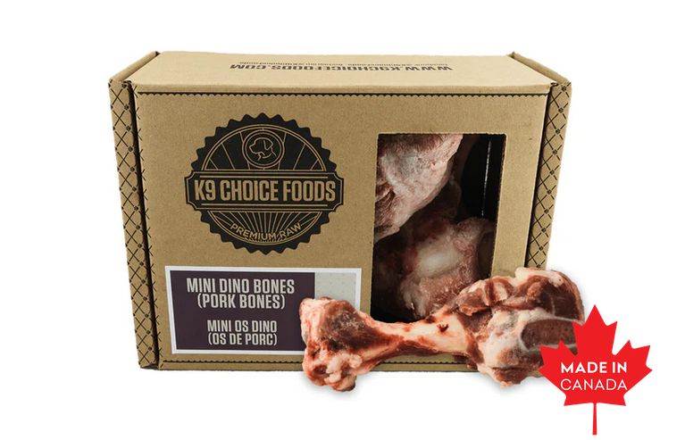Frozen- Mini Dino Bones  3 Pack