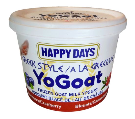 Frozen Greek Yogurt Blueberry Cranberry 475g - BOX OF 6