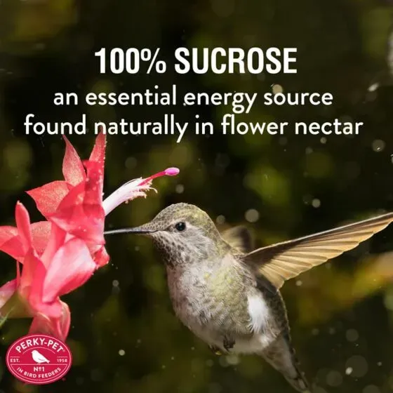 Perky Pet  - Hummingbird Nectar Red Instant Powder 8OZ