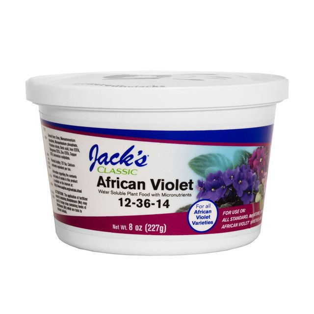 Jack's Classic African Violet 12-36-14 8Oz