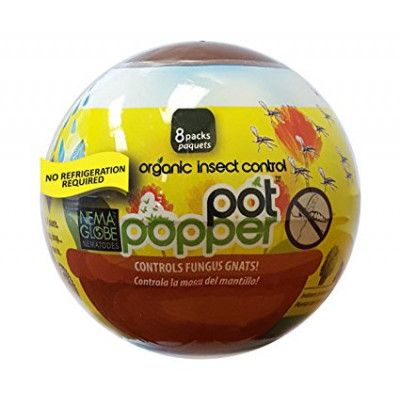 Nema Globe Pot Poppers - Nematodes For Thrips and Gnats in Soil (8 Sachets)