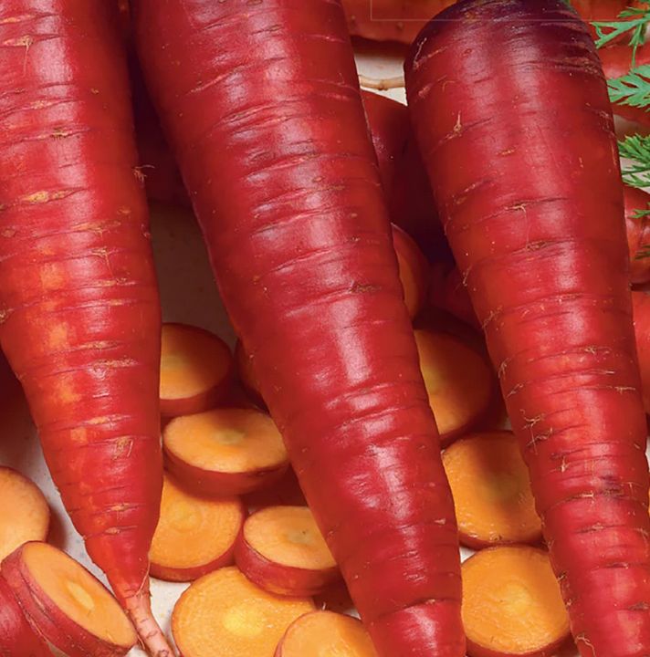 Cosmic Purple Carrot Seeds 1372