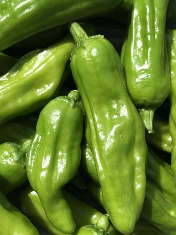 Golden Greek (Pepperoncini) Pepper Seeds 1917