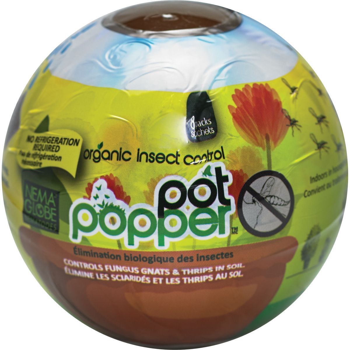 EFI Pot Popper Globe 8 Sachet - Box