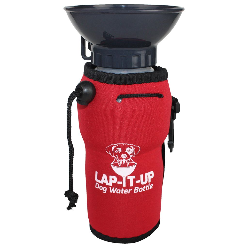 Lap-It-Up Water Bottle 20oz, Color: Red