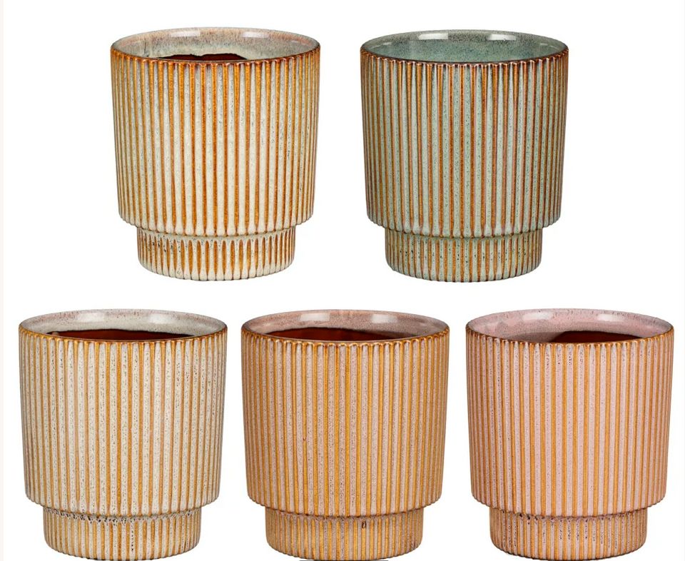 PDQ Ian Pot Pink Green Cream Brown White Assorted