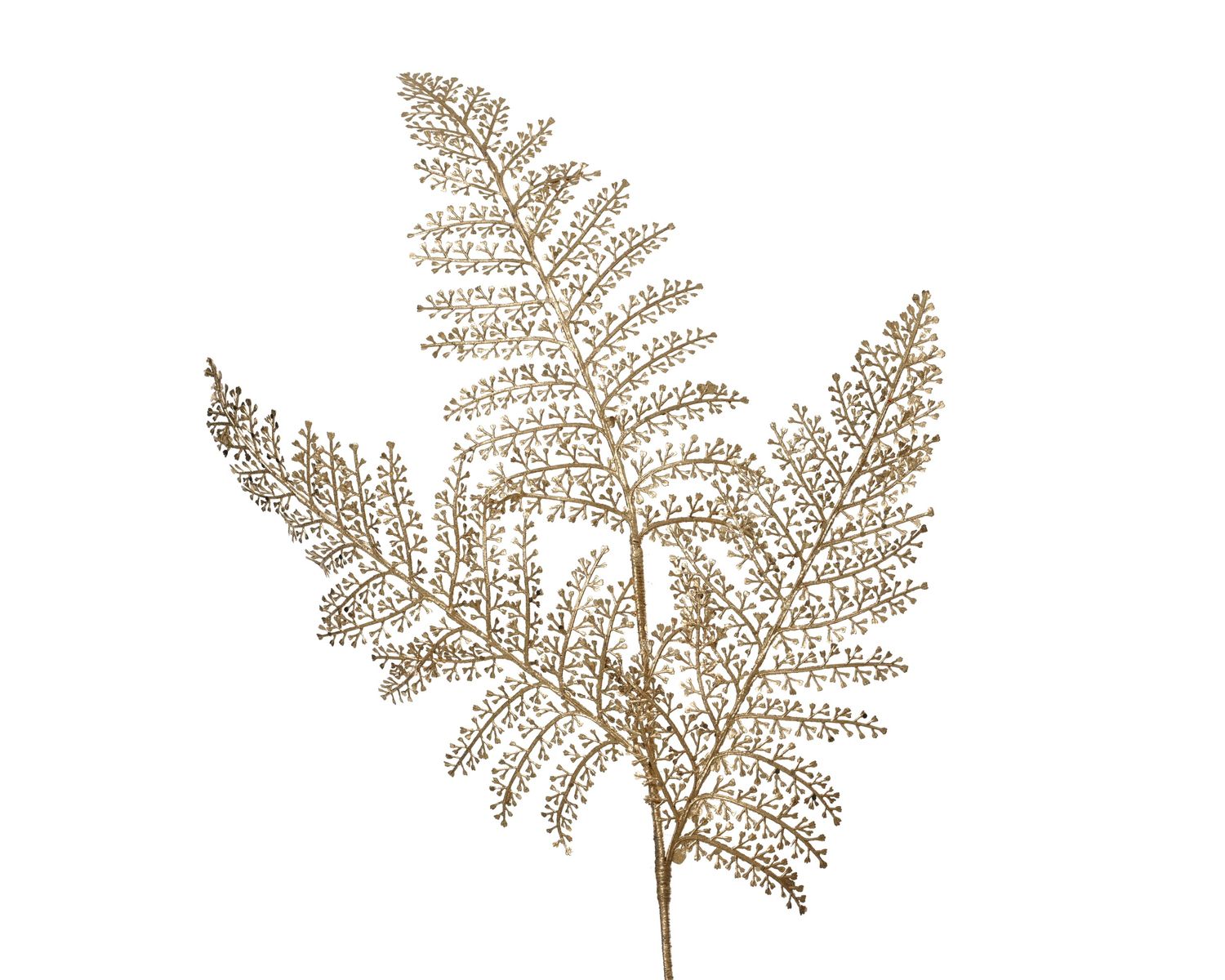 Spray Fernleaf Gold 80cm