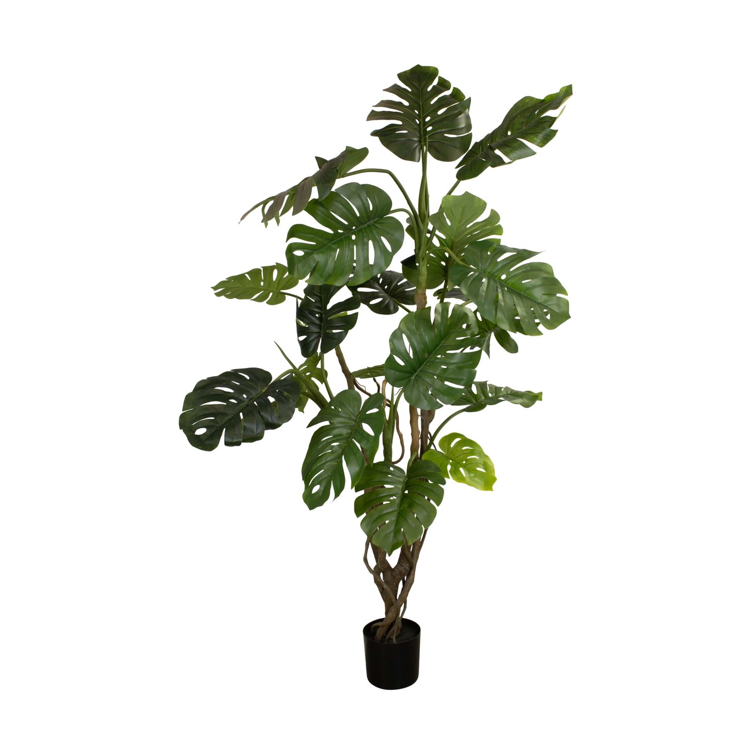 Plant Monstera Artificial 210cm
