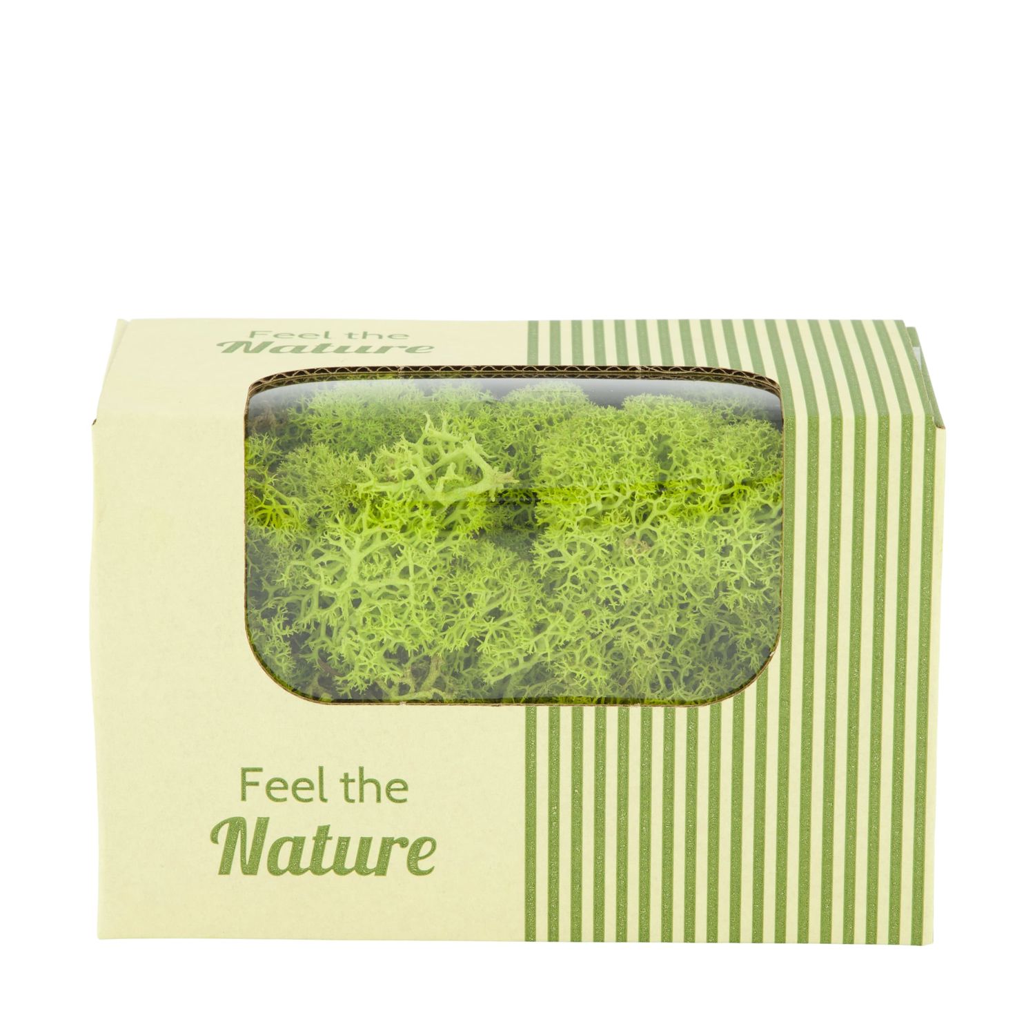 Moss Reindeer Spring Green 50g