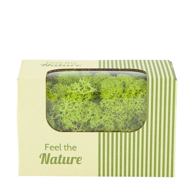 Moss Reindeer Spring Green 50g