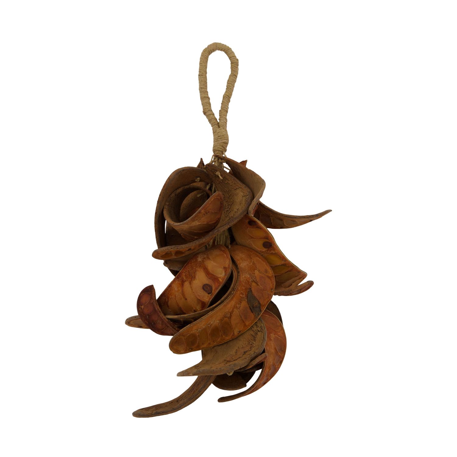 Hanger Elephant Ear 50cm 23 Pieces