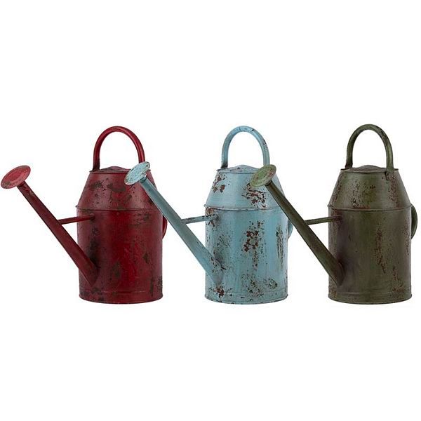 Vintage Watering Can 3 Assorted, Size: Large