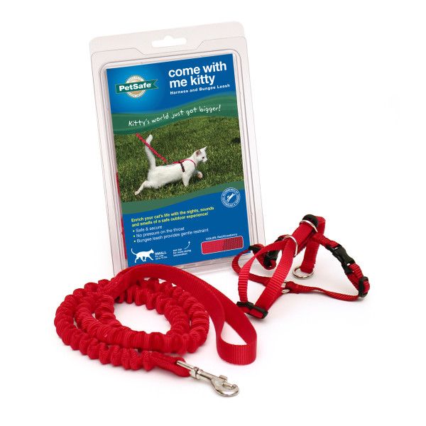 Kitty Harness &amp; Bungee Lead, Color: Red, Size: Small