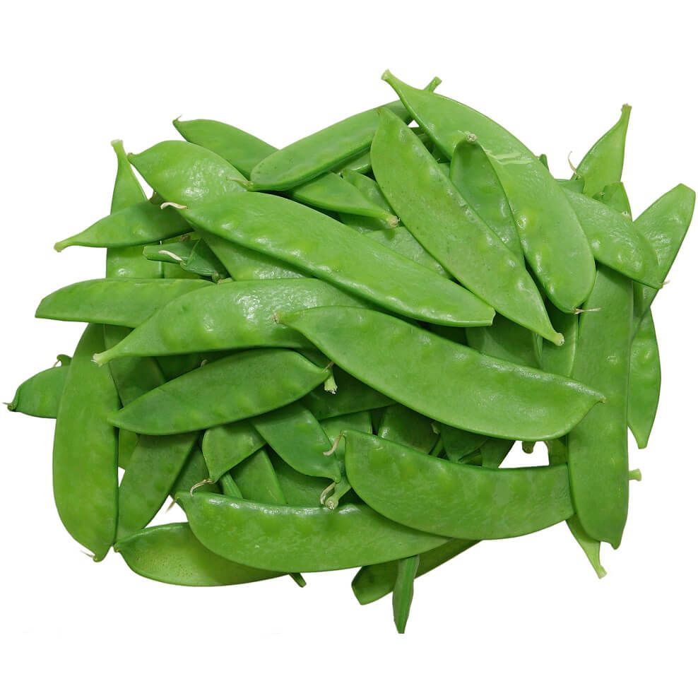 Oregon Sugar Pod II Pea Seeds (Edible Pod Type) 2000, Size: Regular
