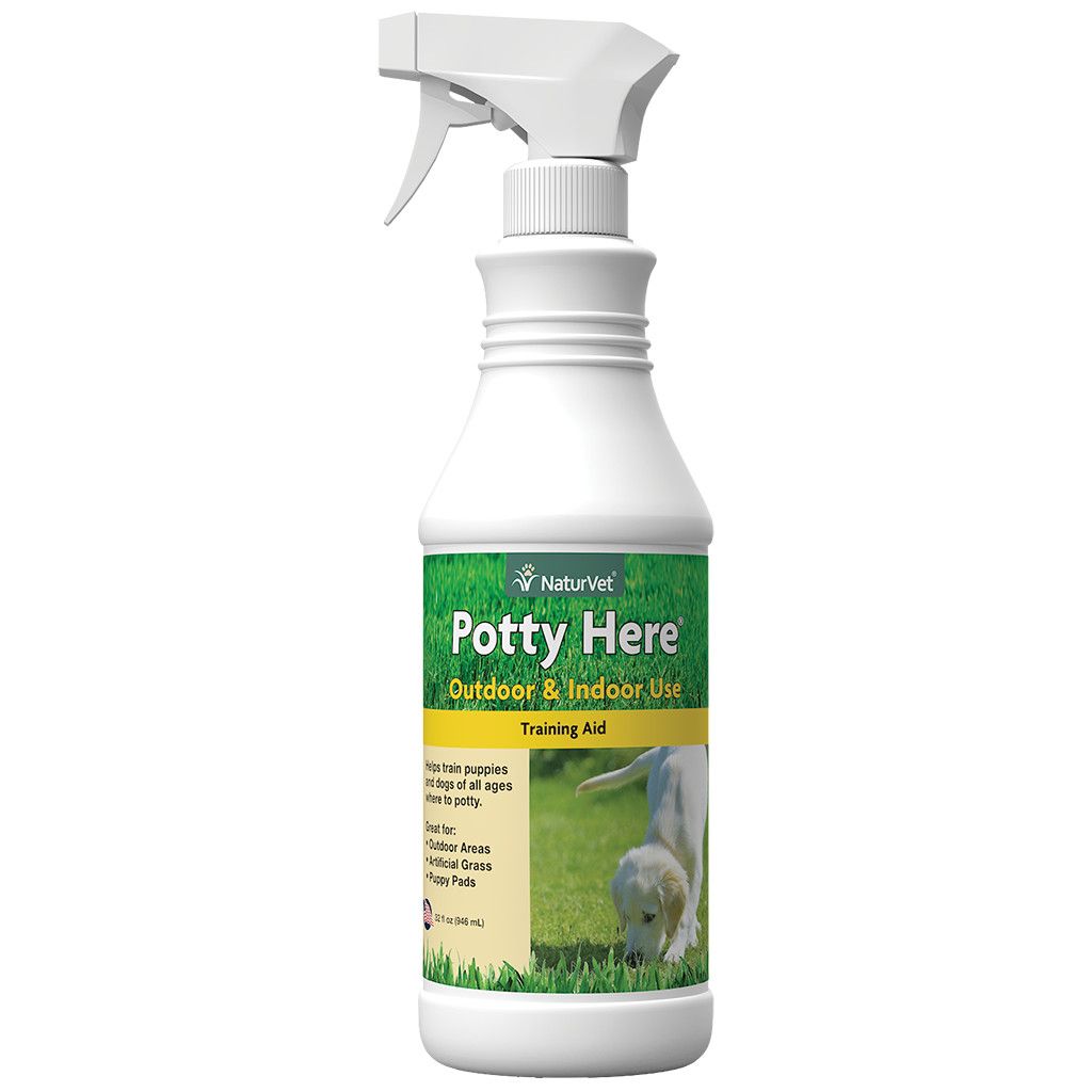 Potty Here, Size: 8oz