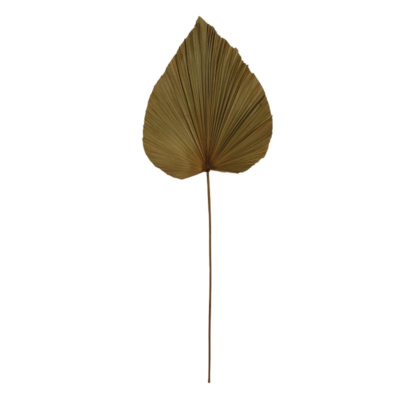 Leaf Fan, Size: 89x33cm, Variety: Small Nature