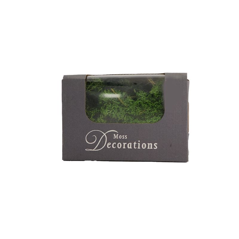 Reindeermoss in Box 50gr, Color: Mossgreen