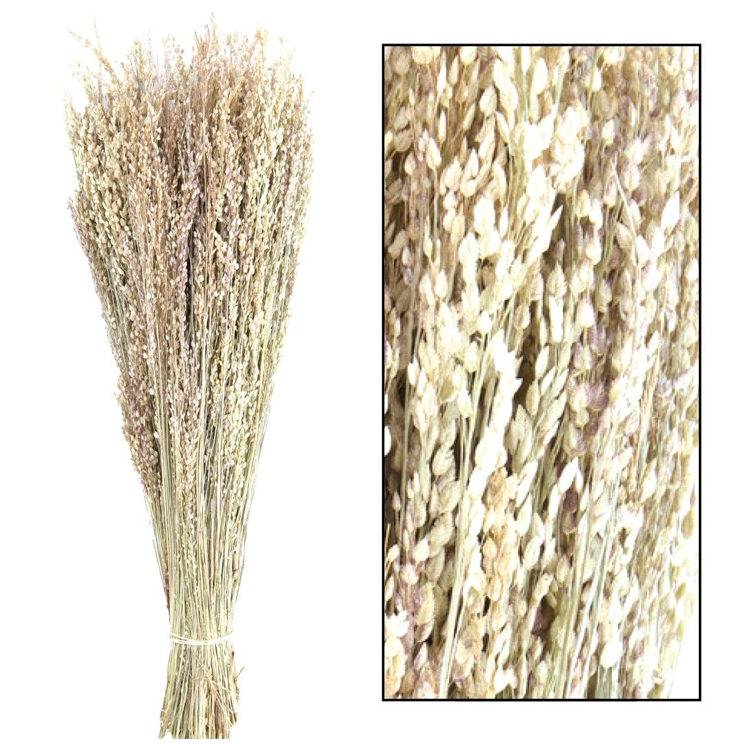 Star Grass Bunch, Color: White-Wash, Size: 100gr
