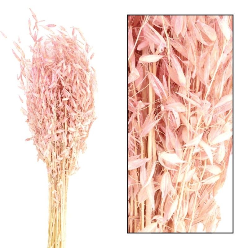 Avena Wild Nature, Color: Soft Pink, Size: 60gr