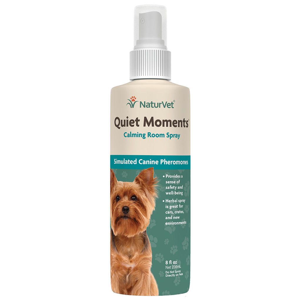 Quiet Moments Canine Spray, Size: 8 oz