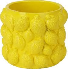 Flower Pot Lemon