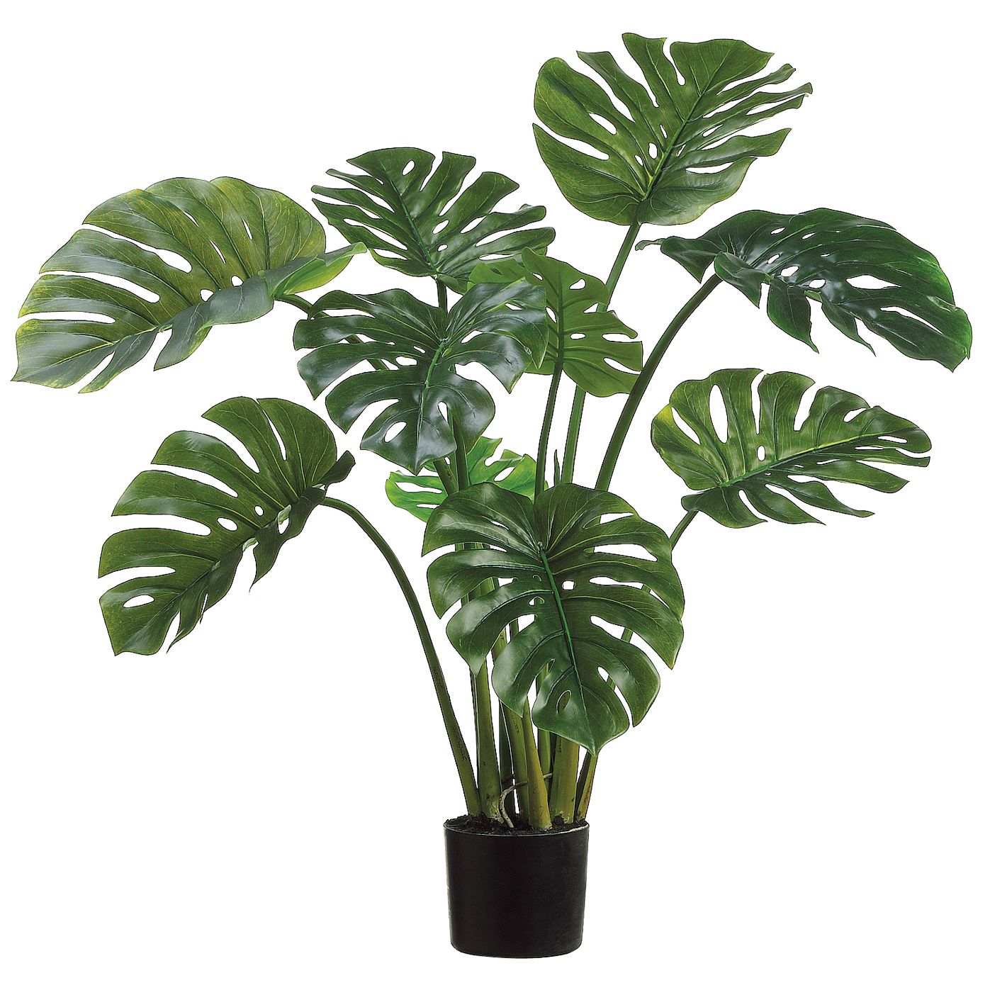 Monstera In Plastic Pot Green - H140x80cm