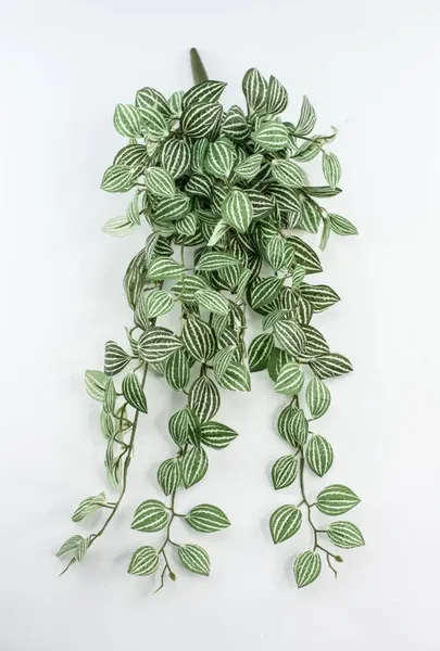 Peperomia Hanging Green Real Touch - 65x15x10cm