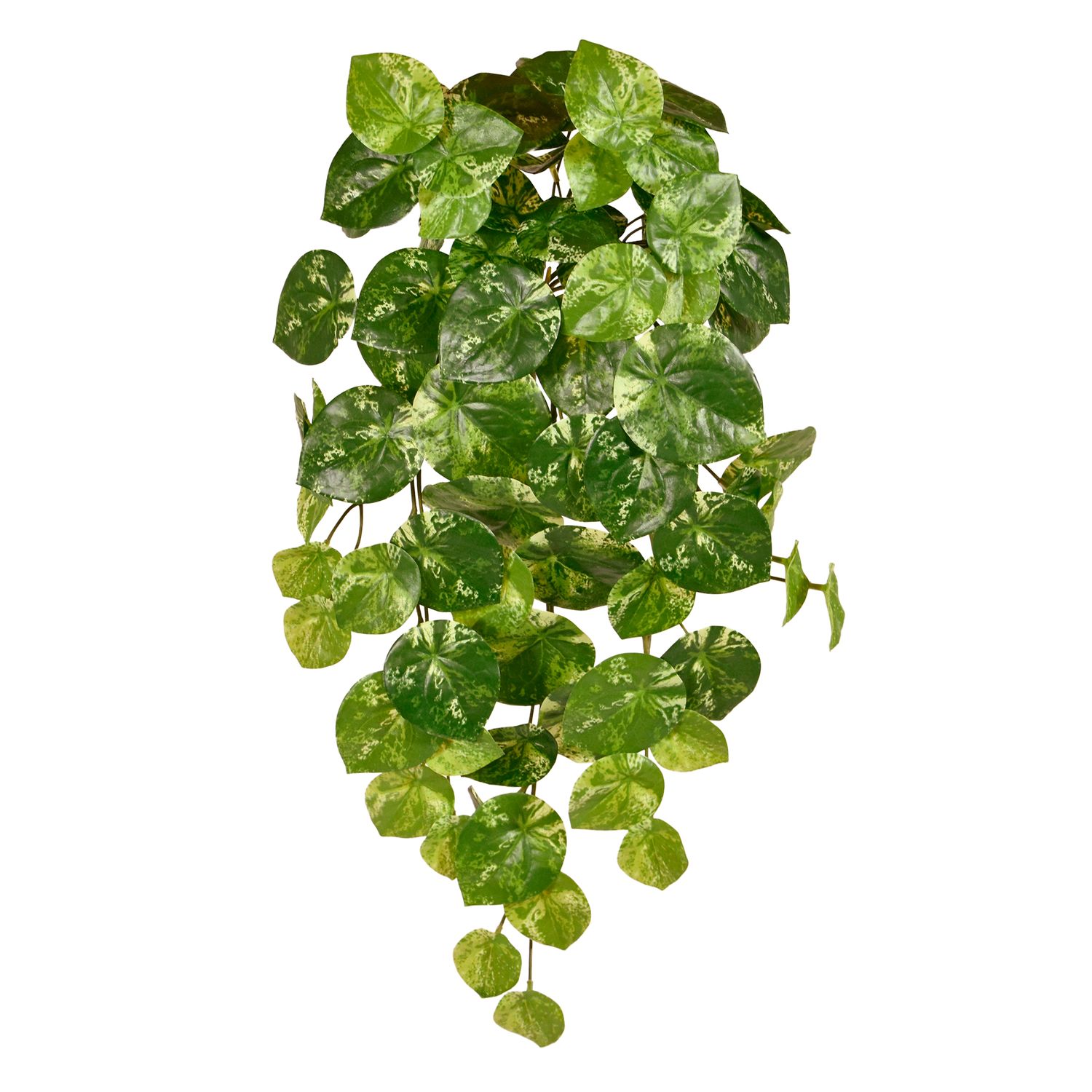 Pilea Hanging Green Variegated Real Touch - 65x15x10cm